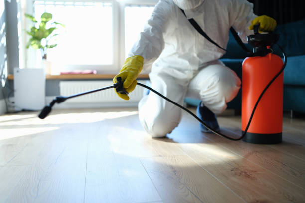 Reliable Blood Cleanup contractor in Pahoa, HI by Trauma Clean Pros